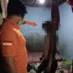 Dipicu Putus Cinta, Pria di Sintang Gantung Diri