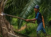 Dewan Minta Perusahaan Wajib Lindungi Karyawan dengan BPJS, Jika Tidak Didenda Rp50 Juta