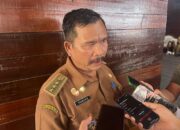 Camat Kayan Hulu Dorong Percepatan Program Listrik Desa