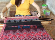 Desa Umin Jaya Lestarikan Tenun Ikat Kain Pantang Warisan Leluhur