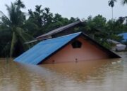 Curah Hujan Tinggi, Belasan Desa di Sintang Terendam Banjir